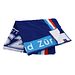 ZSC Lions Strandtuch 100x180cm